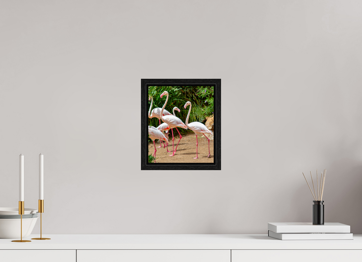 Flamingos