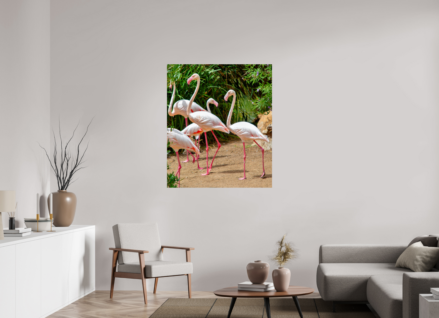 Flamingos