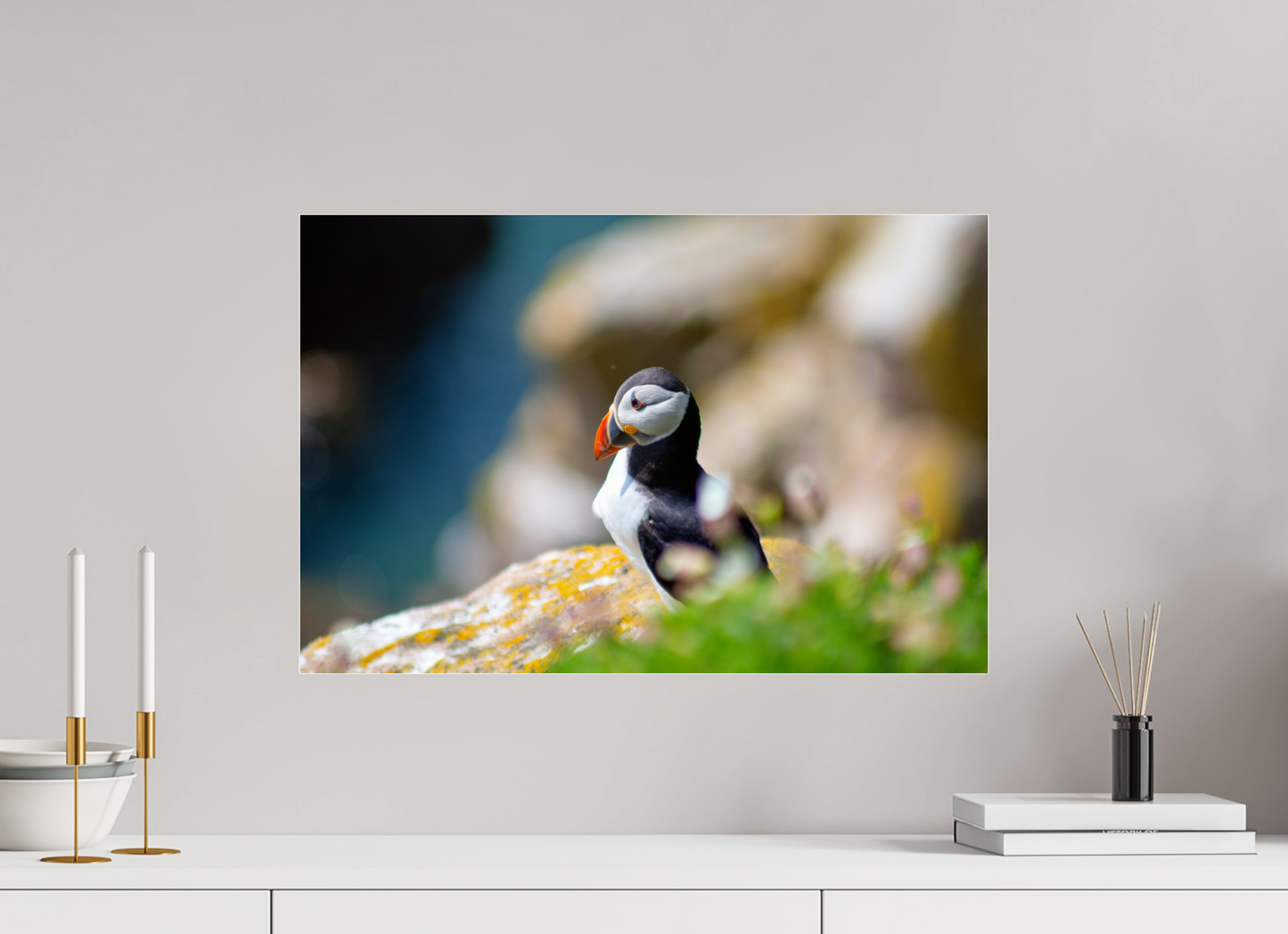 Puffin