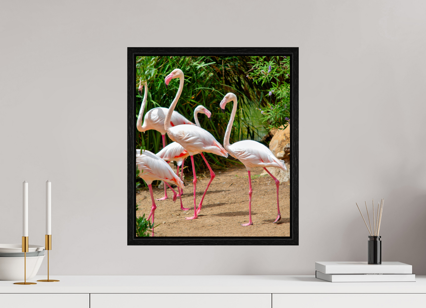 Flamingos