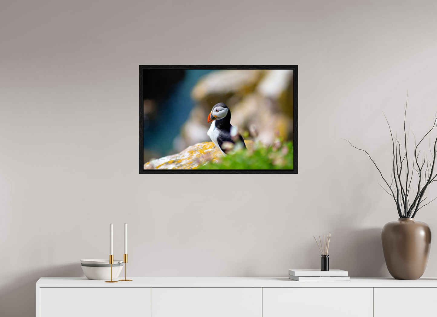 Puffin