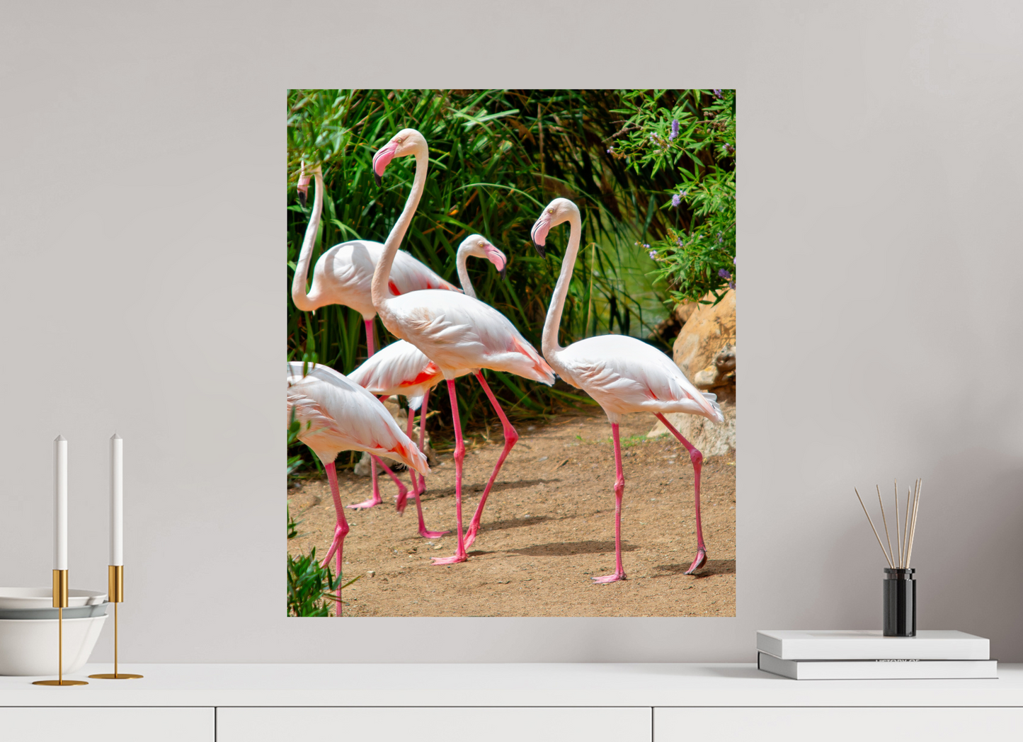Flamingos