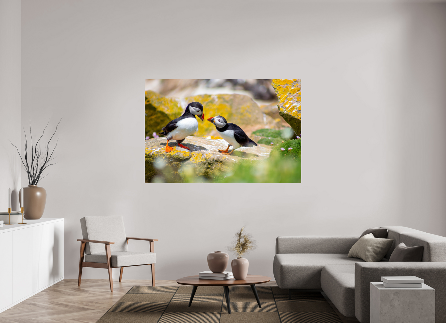 Puffins