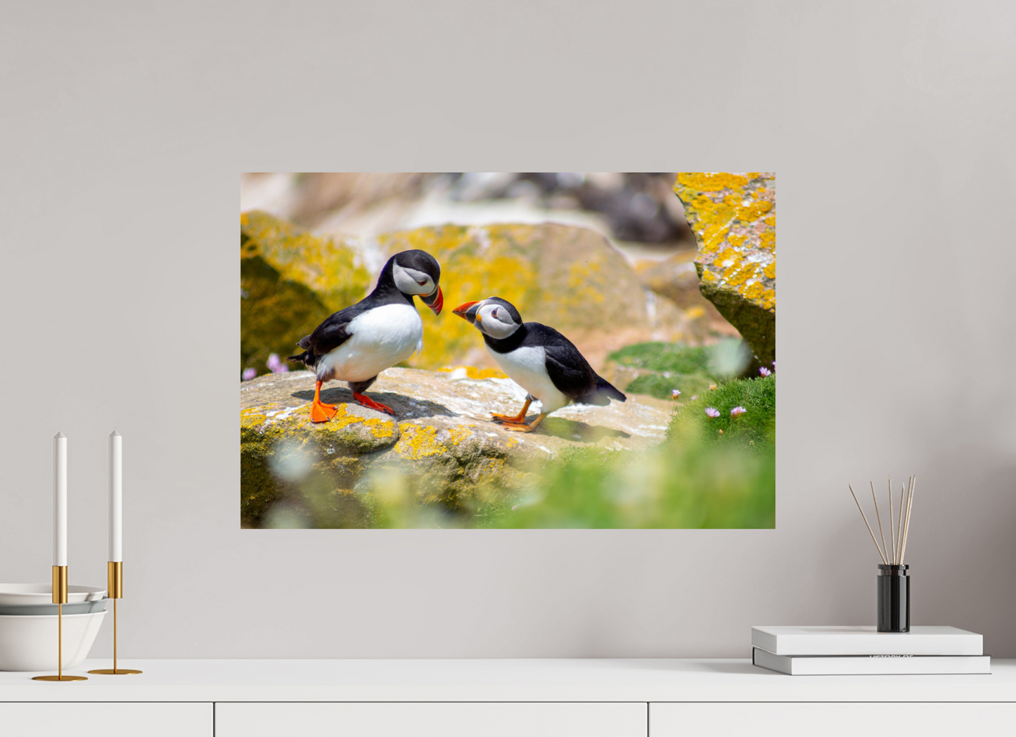 Puffins