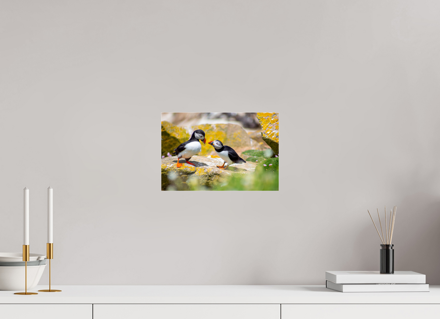 Puffins