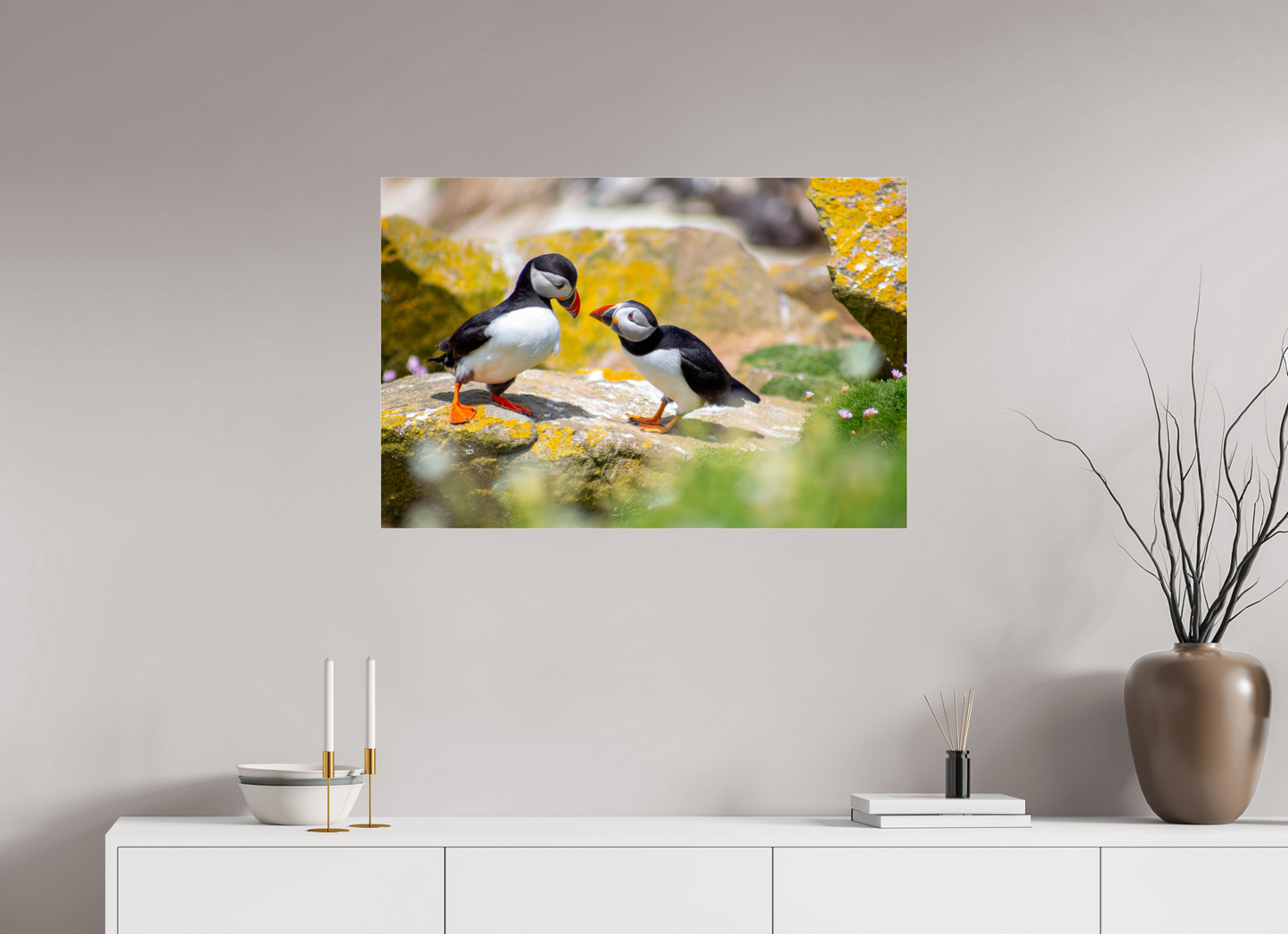 Puffins