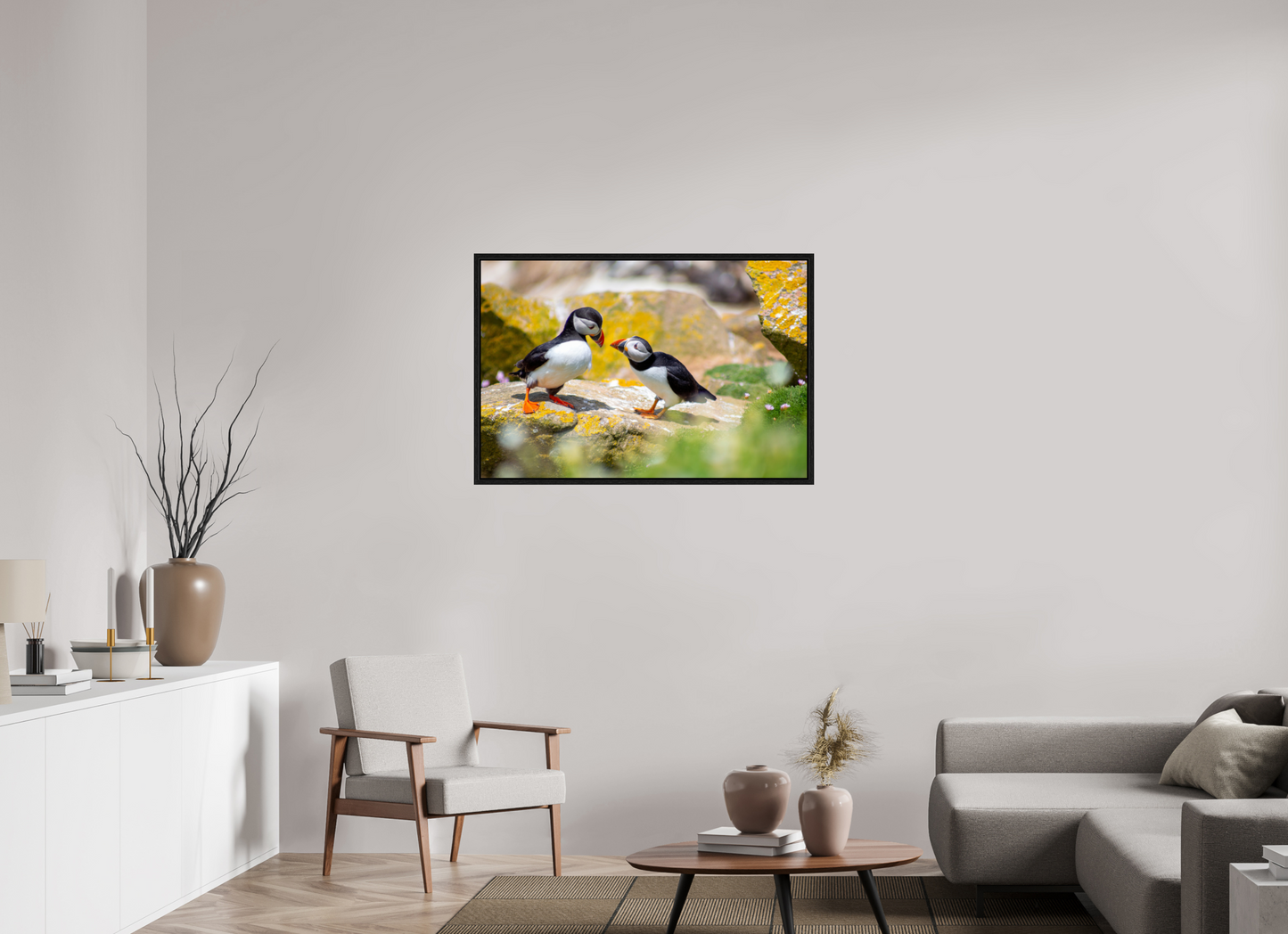 Puffins