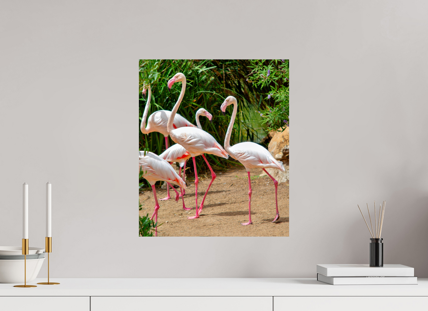 Flamingos