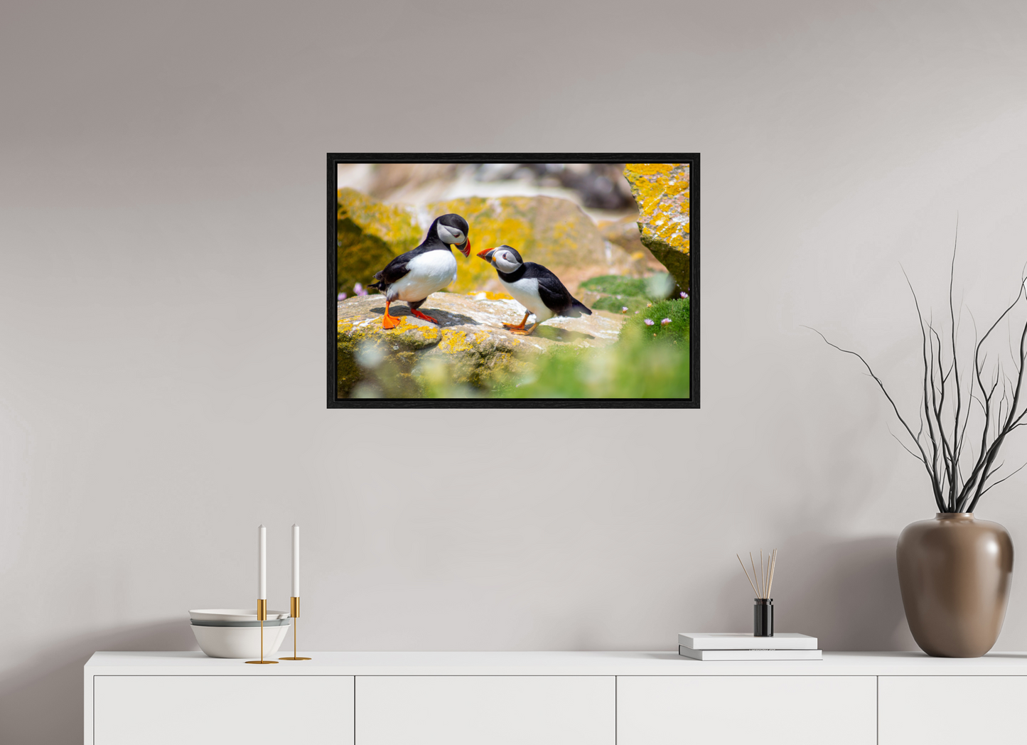 Puffins