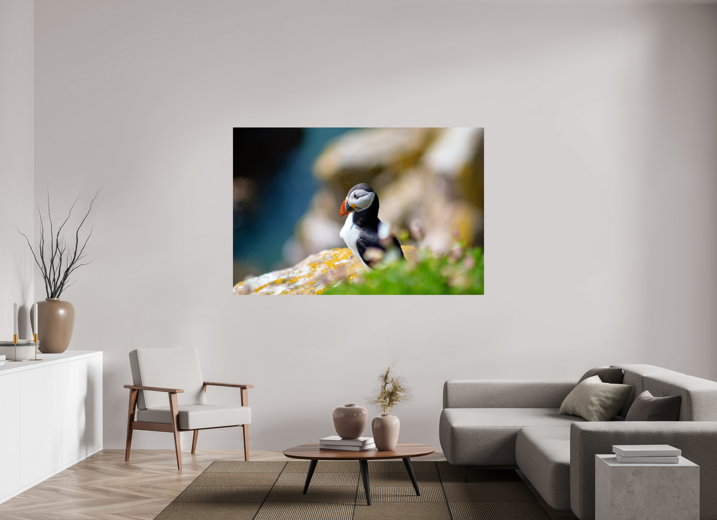 Puffin