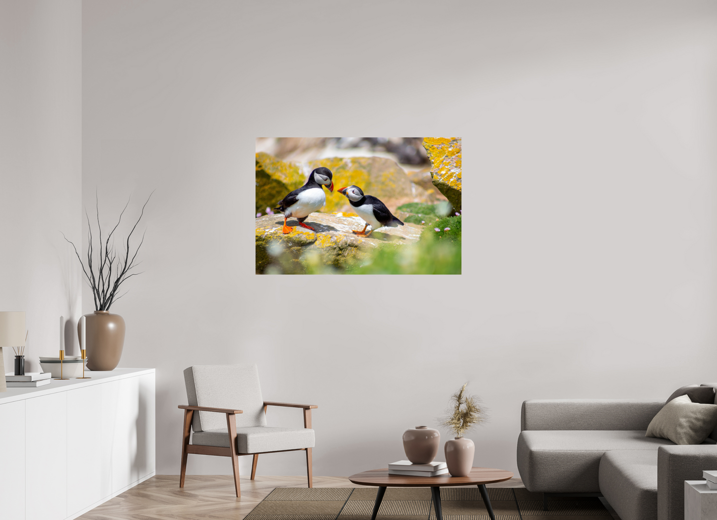 Puffins
