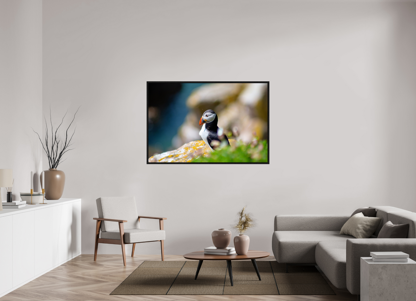 Puffin