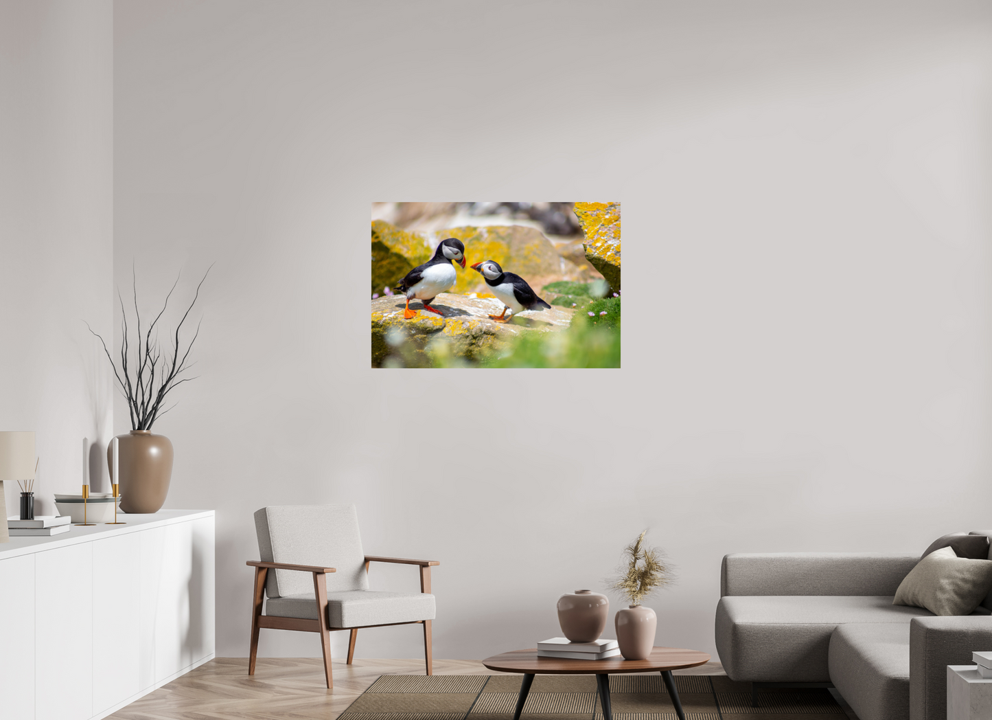 Puffins