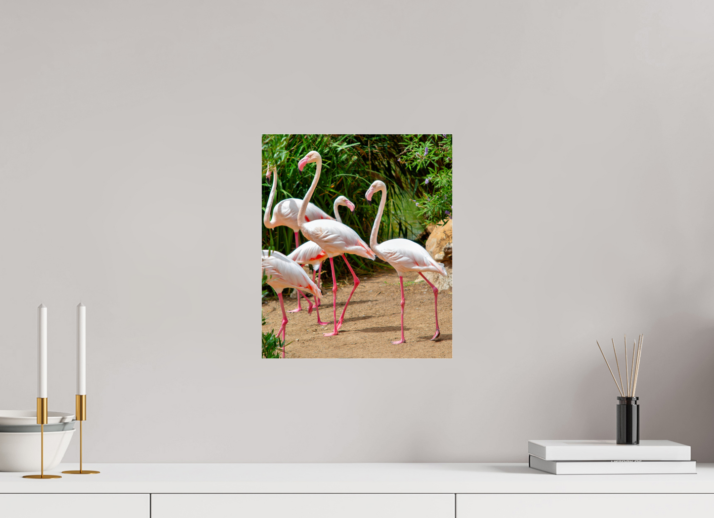 Flamingos