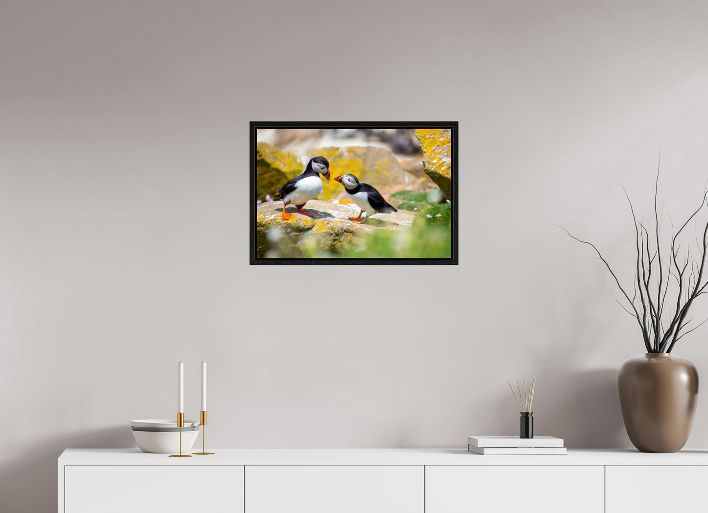 Puffins