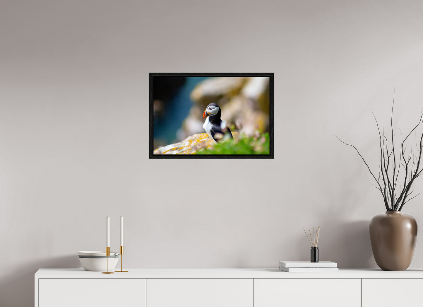 Puffin