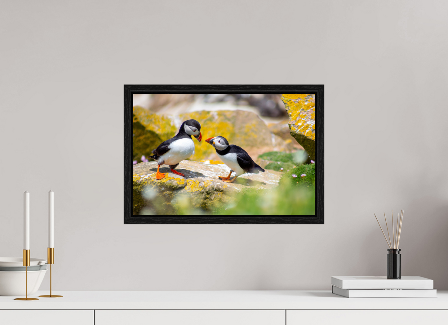 Puffins