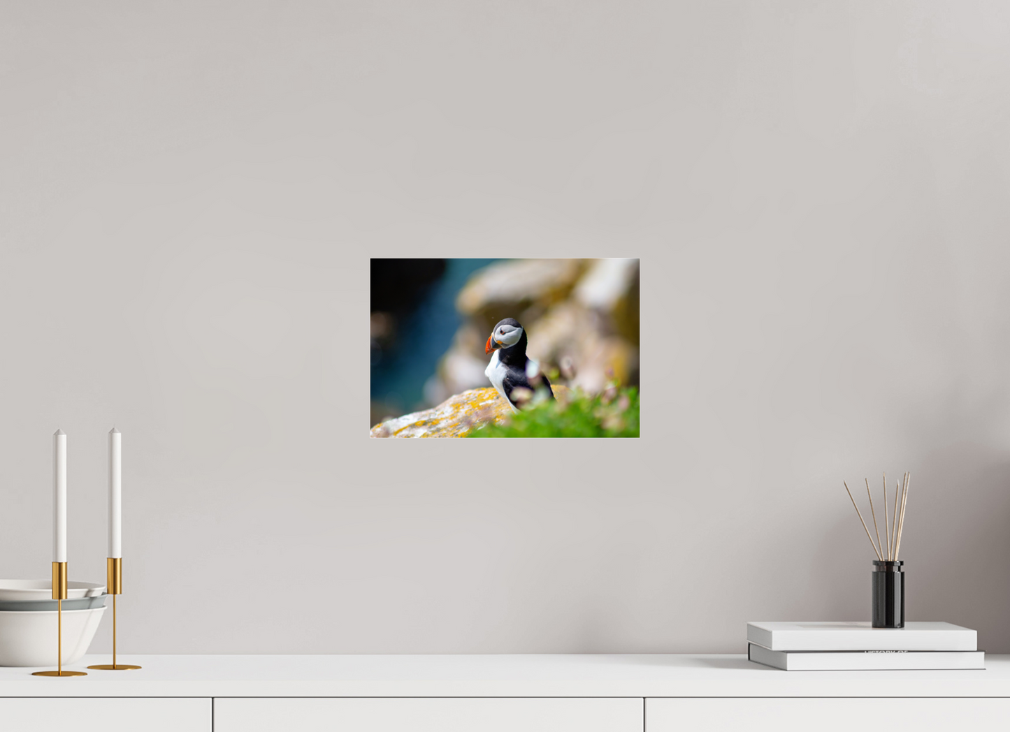 Puffin