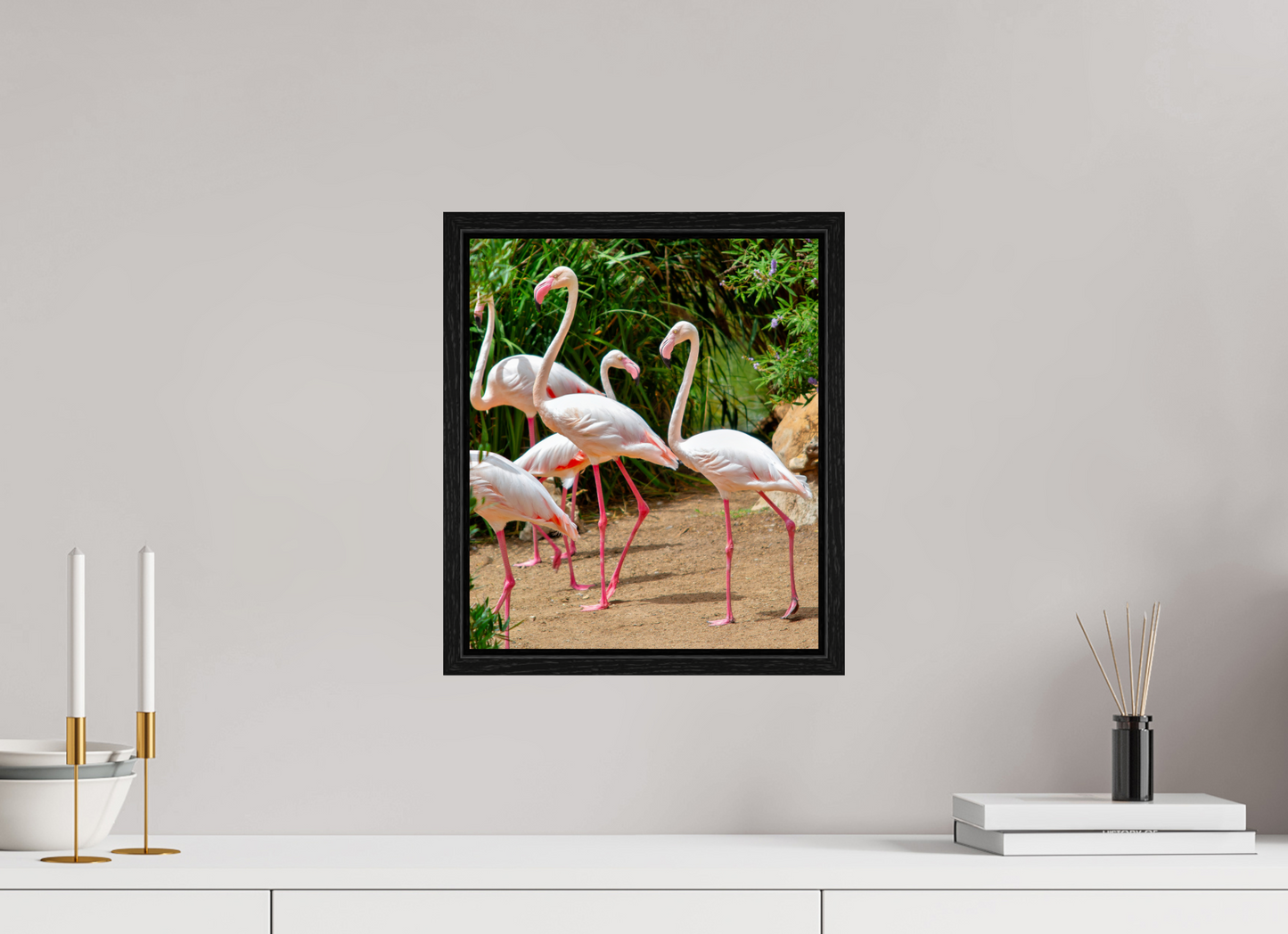 Flamingos
