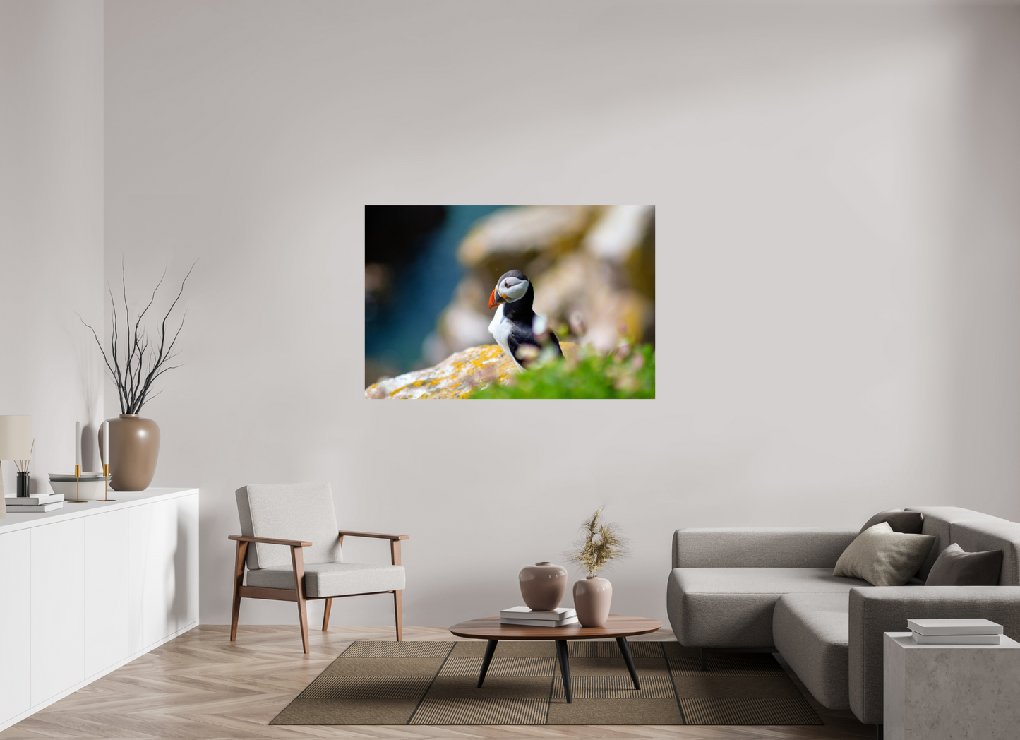 Puffin