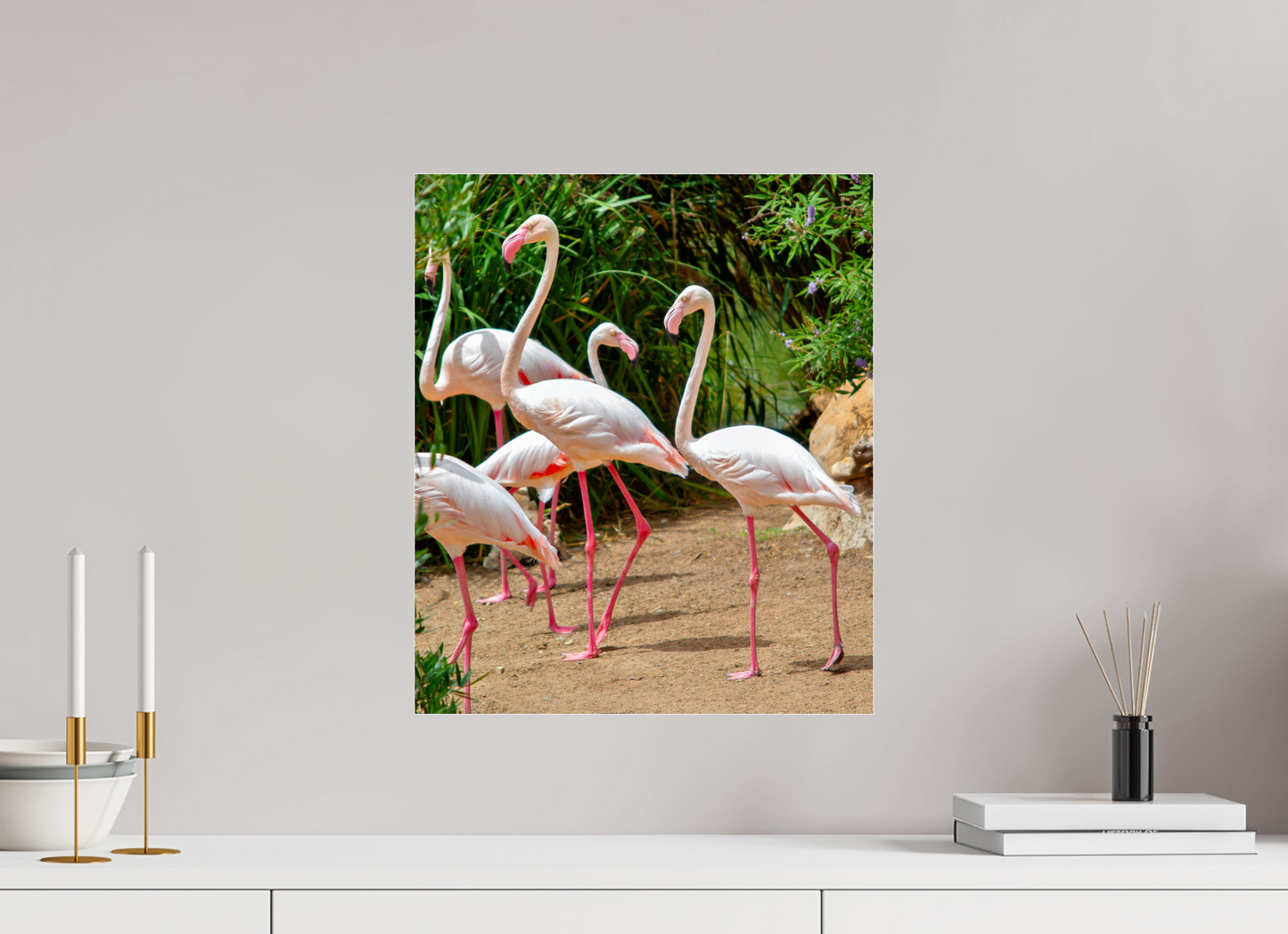Flamingos