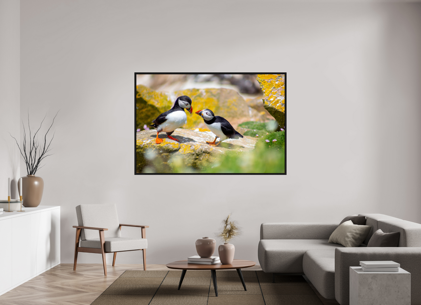 Puffins