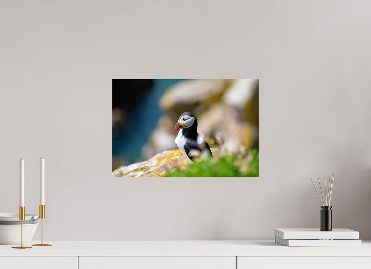 Puffin
