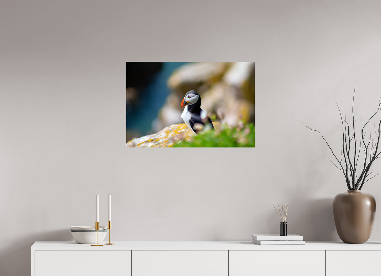 Puffin