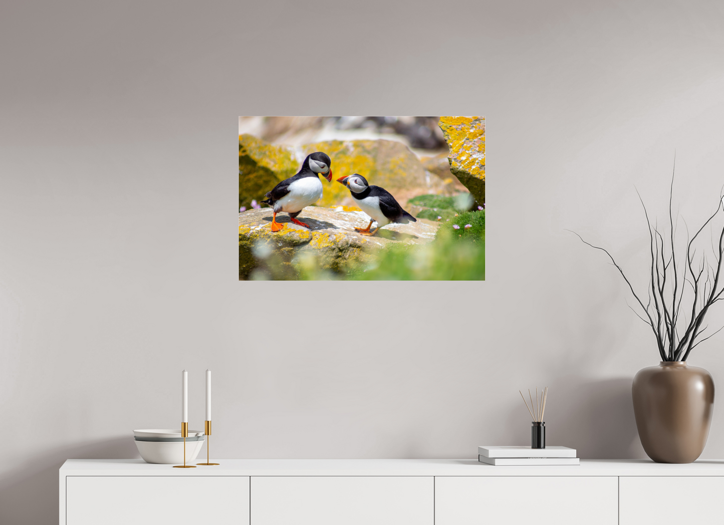 Puffins
