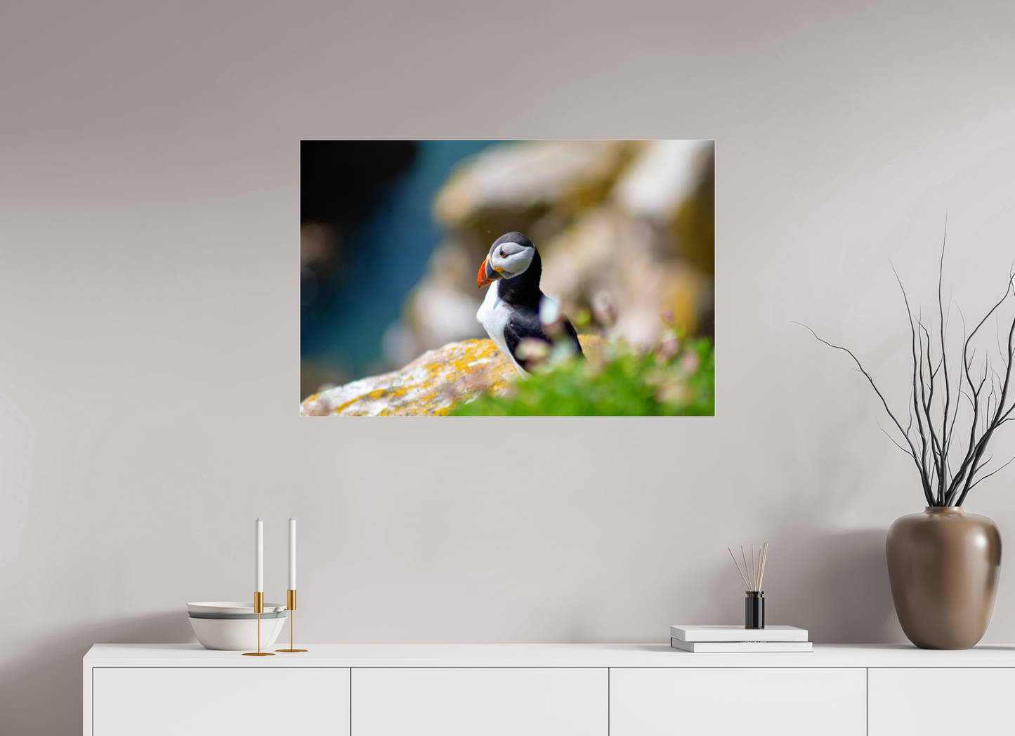 Puffin