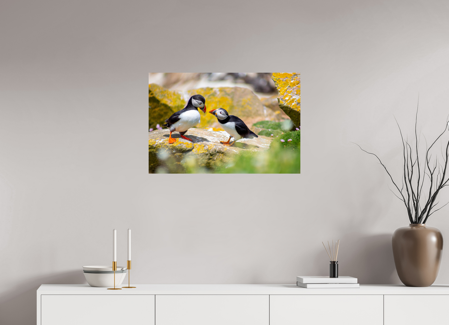 Puffins