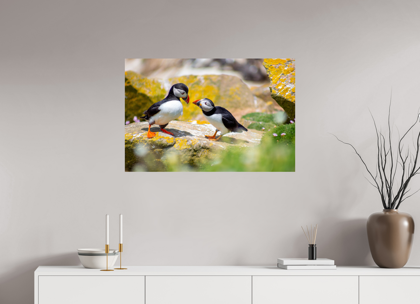 Puffins