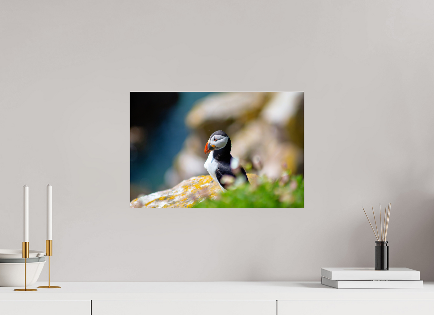 Puffin