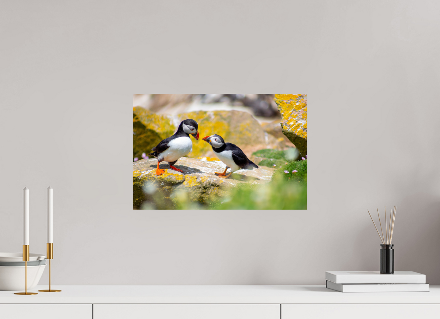 Puffins