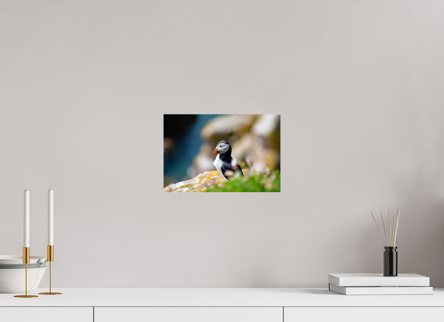 Puffin