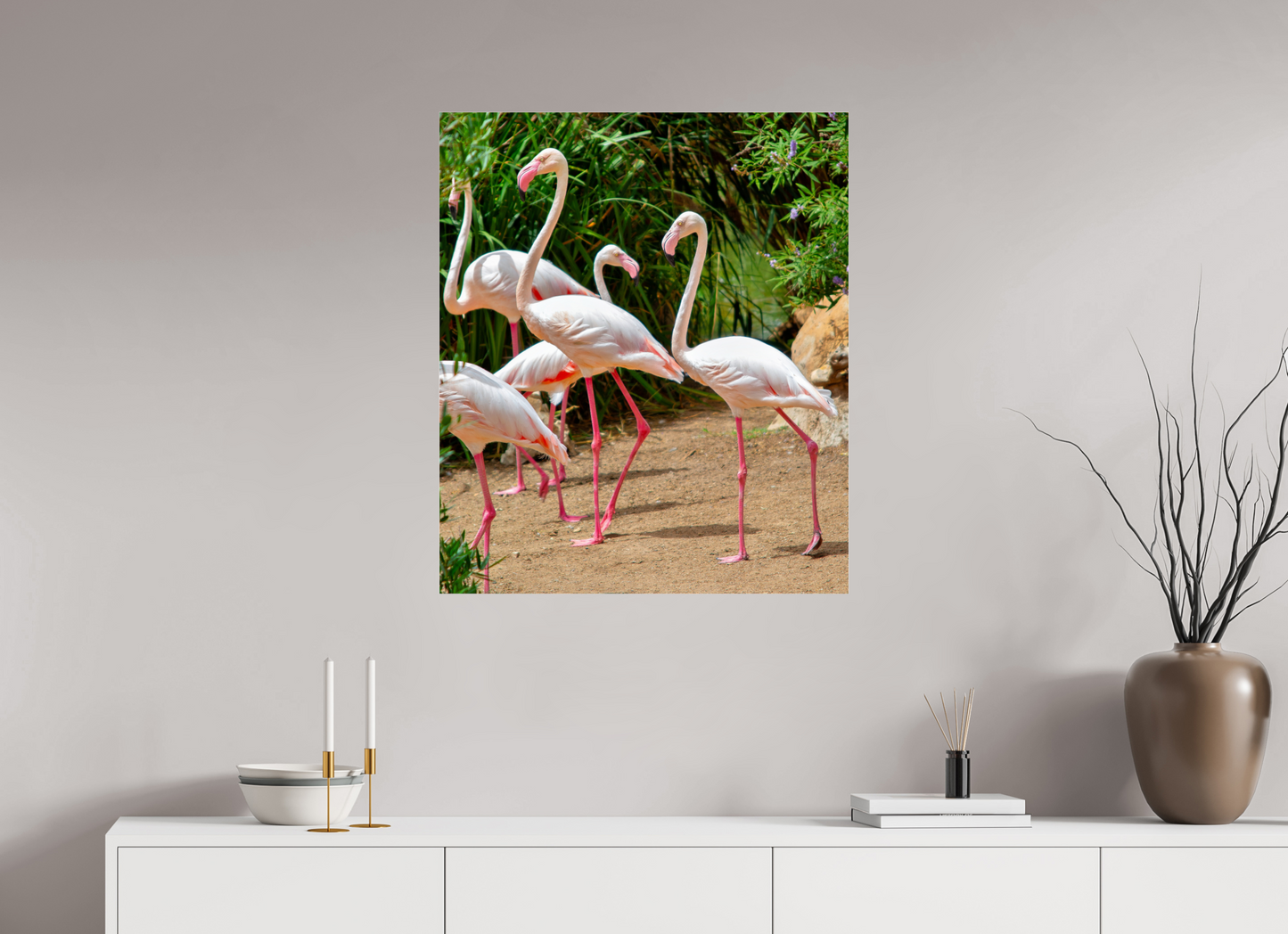 Flamingos