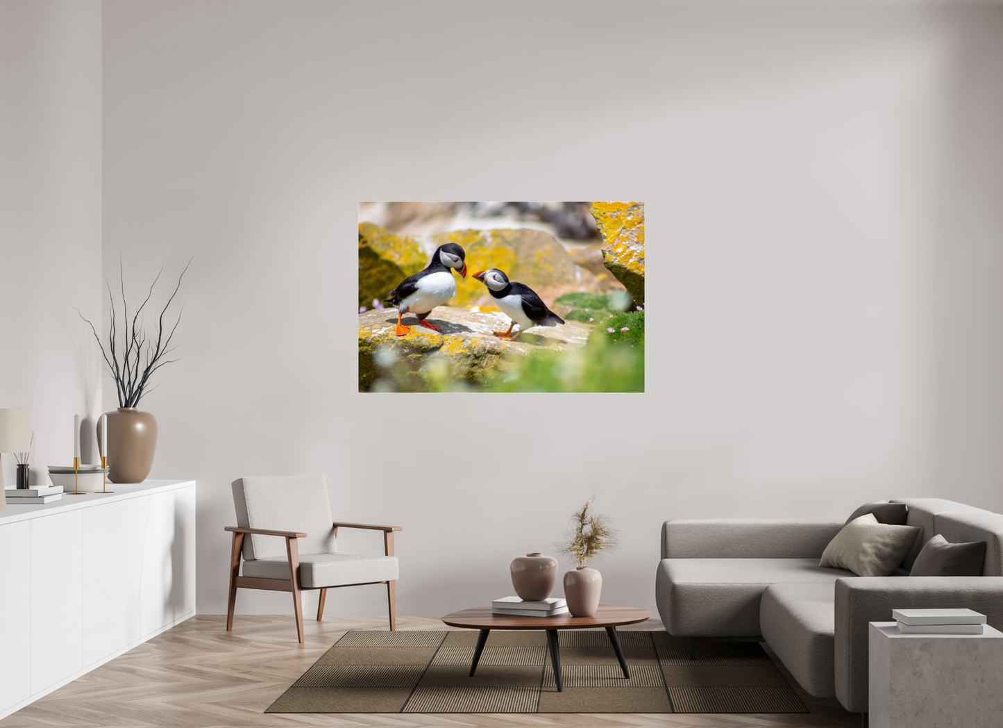 Puffins