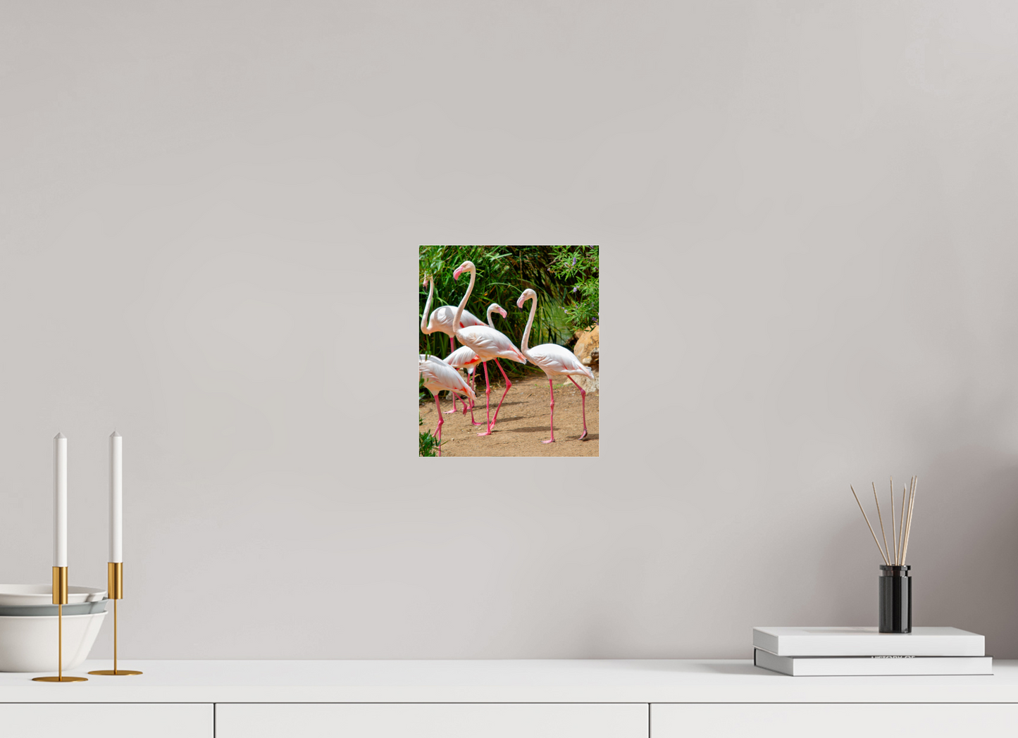 Flamingos