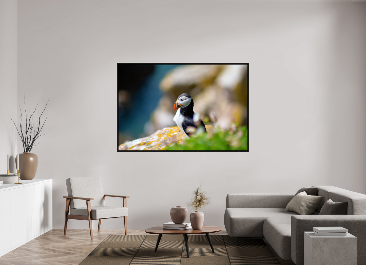 Puffin